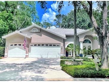Charming single-story home with a well-manicured lawn, attached two-car garage and beautiful curb appeal at 9322 Wellington Park Cir, Tampa, FL 33647