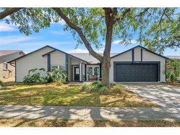 Charming single-story home with well-maintained landscaping and a large shade tree in front yard at 2554 Brimhollow Dr, Valrico, FL 33596