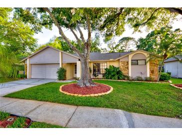 Charming single-story home featuring a well-manicured lawn and a mature shade tree enhancing curb appeal at 12024 Stone Crossing Cir, Tampa, FL 33635