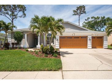 Charming single-story home with well-manicured lawn, palm trees, and a three-car garage at 1793 Pipers Meadow Dr, Palm Harbor, FL 34683