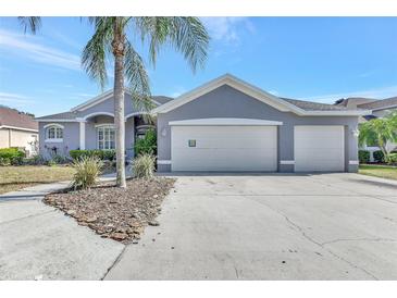 Charming home featuring a three-car garage, well-manicured landscaping, and a freshly painted exterior at 2863 Duncan Tree Cir, Valrico, FL 33594