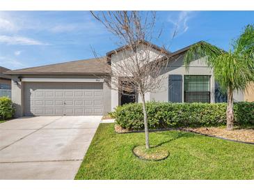 Charming single-story home featuring a well-manicured lawn and an attached two-car garage at 4201 Globe Thistle Dr, Tampa, FL 33619