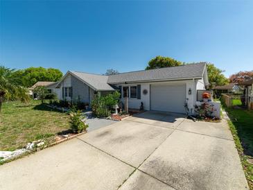 Charming single-story home with a well-manicured lawn, a two car garage, and a sunny sky at 12202 Meadowbrook Ln, Hudson, FL 34667