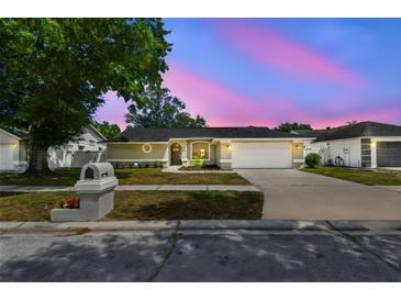 Charming single-story home featuring a well-manicured lawn and inviting curb appeal at 930 Balsamina Dr, Brandon, FL 33510