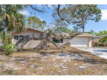 Charming single-story home with a mature tree-lined yard and brick accent, creating a serene and inviting curb appeal at 1250 12Th Sw Ct, Largo, FL 33770