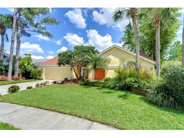 Charming single-story home featuring a lush green lawn, bright orange front door, and mature tropical landscaping at 14119 Stonegate Dr, Tampa, FL 33624