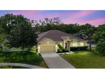 Aerial view of the property showcasing the manicured lawn, landscaping, and neighborhood at 12506 Safari Ln, Riverview, FL 33579