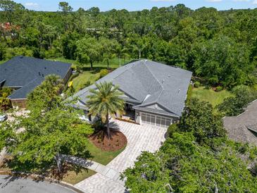 Stunning aerial view of a home with a gray roof, brick driveway, and lush green trees surrounding the property at 14817 Tudor Chase Dr, Tampa, FL 33626