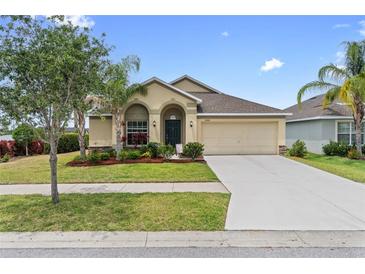Charming single-story home with manicured lawn, stone accents, and two-car garage at 2404 Dovesong Trace Dr, Ruskin, FL 33570