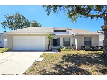 Charming single-story home featuring a two-car garage, well-maintained landscaping, and a welcoming entrance at 12121 Wildbrook Dr, Riverview, FL 33569