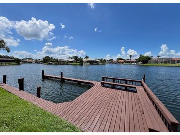 Private wooden dock on the water offers serene views and a relaxing atmosphere at 4804 Longwater Way, Tampa, FL 33615