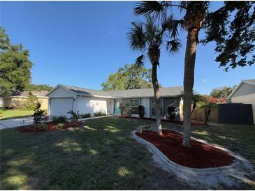 Charming single-story home features a well-manicured lawn, vibrant landscaping, and inviting curb appeal at 5814 Silver Moon Ave, Tampa, FL 33625