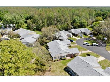 An aerial view shows the community's serene environment with mature trees at 4851 Leyte Ct, New Port Richey, FL 34655