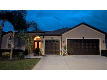 Charming home featuring a two-car garage, well-manicured lawn, and decorative palm tree at twilight at 1430 Beaconsfield Dr, Wesley Chapel, FL 33543