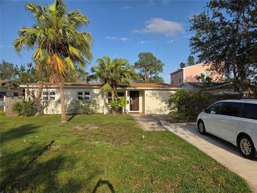 Charming single-story home with palm trees, a well-manicured lawn, and a private driveway at 3919 Harrisburg Ne St, St Petersburg, FL 33703