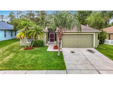 Charming single-Gathering home featuring a well-maintained lawn and mature palm trees accenting the property's curb appeal at 5526 Braddock Dr, Zephyrhills, FL 33541