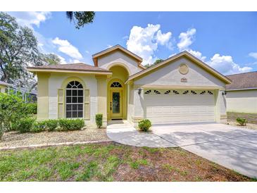 Inviting one-story home with a well-maintained lawn, a two-car garage, and a charming arched entryway at 16501 Sandhill Crane Dr, Spring Hill, FL 34610