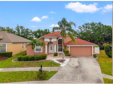 Charming single-Gathering home showcasing a well-maintained lawn, mature palm trees, and a two-car garage at 18005 Palm Breeze Dr, Tampa, FL 33647