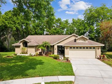 Charming single-story home with a well-manicured lawn and an attached two-car garage at 13806 Sumac Pl, Tampa, FL 33625