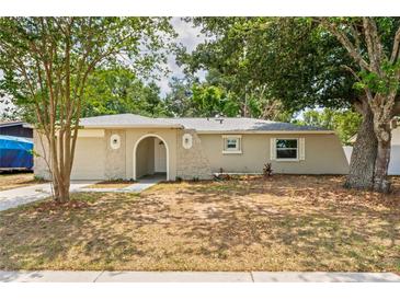 Charming single-story home featuring a stone archway and well-maintained front yard at 2207 Valleybrook Ave, Valrico, FL 33594