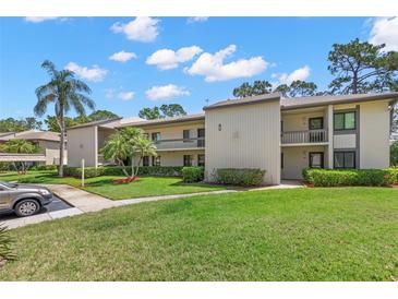 A two-story condo building showcasing a lush green lawn, palm trees, and a beige exterior on a sunny day at 135 Nina Way # 35, Oldsmar, FL 34677