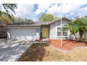 Charming single-story home with a yellow door, manicured front yard, and attached two-car garage at 2604 Shilo Ct, Valrico, FL 33596