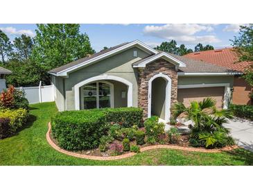 Charming home with stone accents and manicured landscaping creating inviting curb appeal at 11862 Frost Aster Dr, Riverview, FL 33579