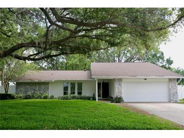 Charming single-story home featuring a stone facade, a two-car garage, and a lush front lawn under a large tree at 2004 Chickwood Ct, Tampa, FL 33618