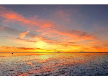 Beautiful waterfront sunset reflecting off the calm ocean with a skyline in the distance at 6106 Marbella Blvd, Apollo Beach, FL 33572