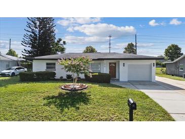 Charming single-story home with a well-maintained lawn and inviting curb appeal at 1979 E Skyline Dr, Clearwater, FL 33763