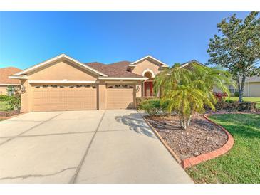 Charming home with a spacious driveway, three-car garage, and well-maintained landscaping in a sunny locale at 1408 Brilliant Cut Way, Valrico, FL 33594