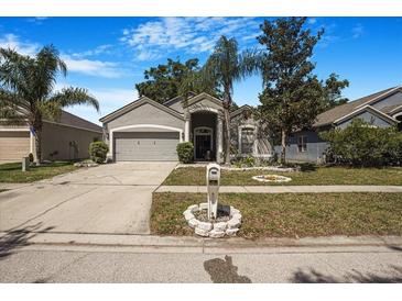 Charming single-Gathering home featuring a well-manicured lawn, mature trees, and a two-car garage in a quiet neighborhood at 13215 Beechberry Dr, Riverview, FL 33579