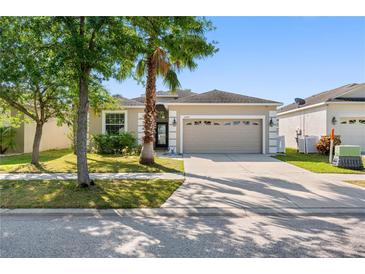 Charming single-story home with a well-manicured lawn, large driveway, and a two-car garage at 11207 Flora Springs Dr, Riverview, FL 33579