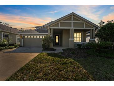 Charming single-story home featuring a landscaped front yard, covered porch, and attached two-car garage at 20146 Heritage Point Dr, Tampa, FL 33647