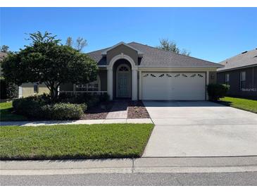 Well-maintained single-Gathering home with a lush green lawn, mature tree, and a two-car garage at 1415 Saddle Gold Ct, Brandon, FL 33511