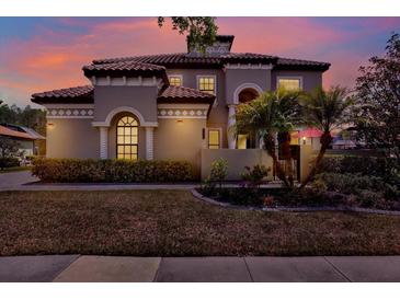 Elegant two-story home displaying a terra cotta tile roof, manicured landscaping, and a warm, inviting exterior at 8420 Dunham Station Dr, Tampa, FL 33647