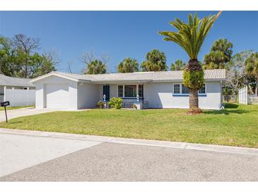 Charming single-story home with a well-manicured lawn and a mature palm tree in the front yard at 4256 Rudder Way, New Port Richey, FL 34652