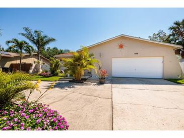 Charming single-story home with a well-maintained lawn, mature palms, and a two-car garage at 6001 19Th Ne St, St Petersburg, FL 33703