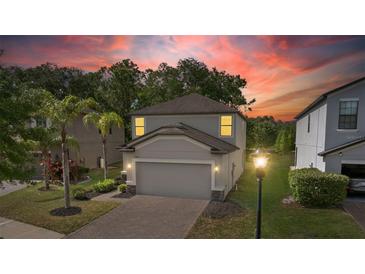 Charming two-story home with a well-manicured lawn and brick-paved driveway under a vibrant sunset at 9908 Spice Bush Ct, Tampa, FL 33647