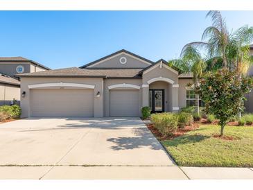 Beautiful single-story home with a three-car garage and well-maintained landscaping and green lawn at 11407 Acacia Grove Ln, Riverview, FL 33579