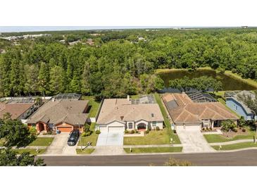 Aerial shot of homes with screened in pools and a serene pond surrounded by lush greenery at 28451 Great Bend Pl, Wesley Chapel, FL 33543