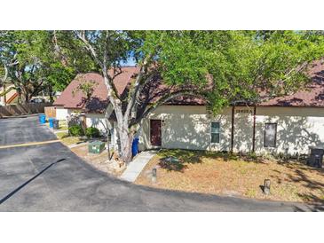 Cozy single story home with a brown roof, and a sidewalk leading to the front door, partially shaded by a mature tree at 12425 Touchton Dr # 77, Tampa, FL 33617