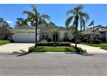 Charming single-story home with a manicured lawn, elegant landscaping, and a welcoming two-car garage at 1201 Ventana Dr, Sun City Center, FL 33573