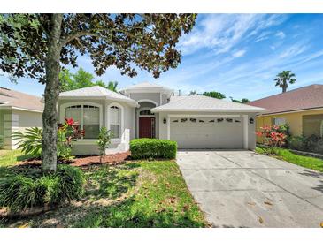 Charming single-Gathering home featuring a well-maintained lawn and mature landscaping at 719 Straw Lake Dr, Brandon, FL 33510