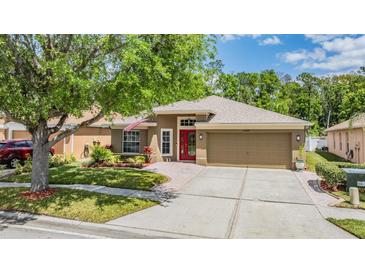 Charming single-story home with a well-manicured lawn, mature trees, and a welcoming red front door at 25324 Lexington Oaks Blvd, Wesley Chapel, FL 33544