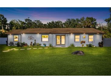 Charming single-story home featuring a lush lawn, stepping stone walkway, and whimsical sun and tree art decorations at 6907 W Creek Dr, Tampa, FL 33615