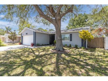 Charming single-story home featuring a landscaped front yard and a large shade tree at 1428 Chesterfield Dr, Dunedin, FL 34698