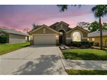 Charming single-story home featuring a two-car garage, well-manicured lawn, and mature landscaping at sunset at 2719 Brookville Dr, Valrico, FL 33596