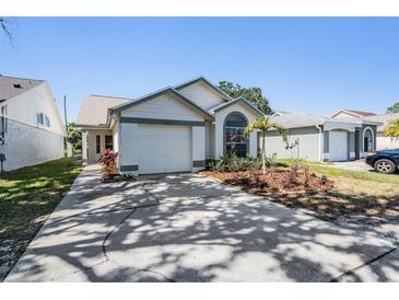 Charming single-story home with a well-maintained lawn and attached one car garage at 11639 Sunshine Pond Rd, Tampa, FL 33635