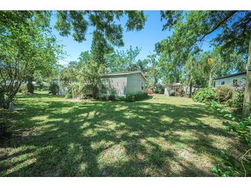 Spacious, grassy backyard, partially shaded by mature trees, offering a serene outdoor space at 12302- Pittsfield Ave, Tampa, FL 33624
